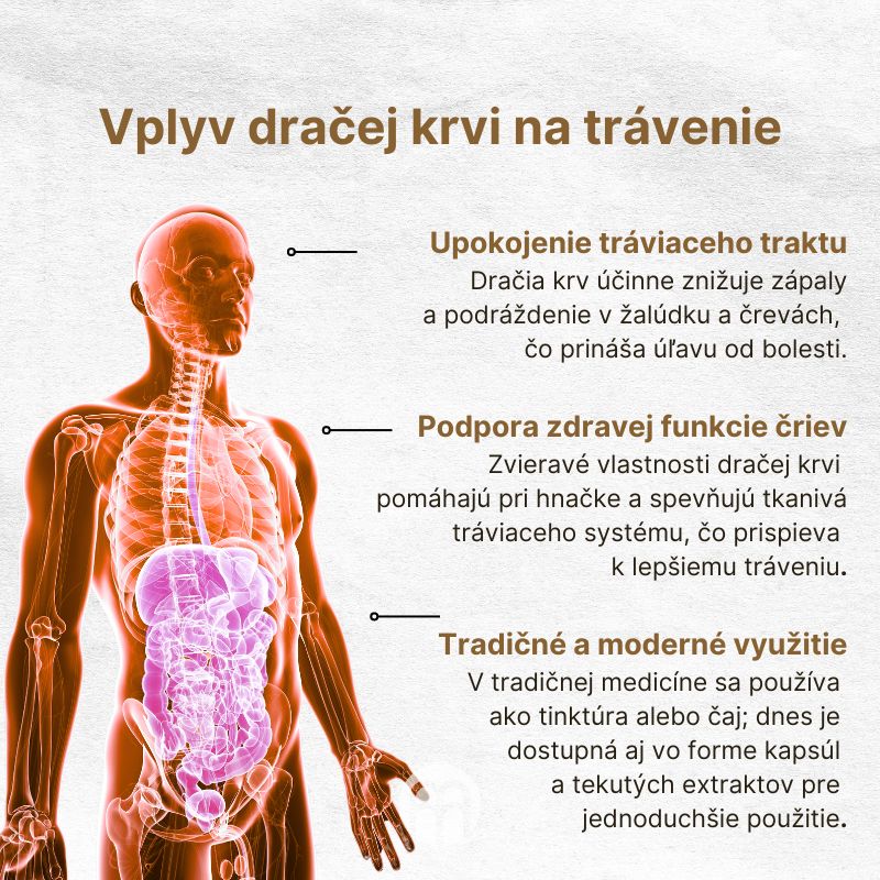 (Slovenčina) Vliv dračí krve na trávení